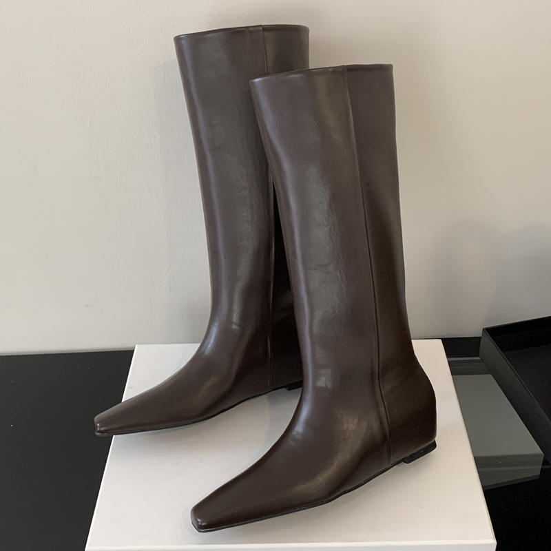 Eilyken Zacht Leer Puntschoen  - Women'S Fashion Knee High Boots recensie en prijs