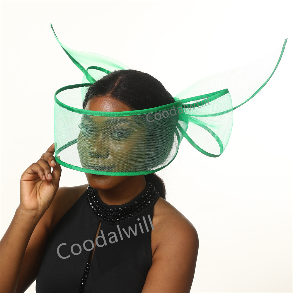 Zwart Wit Verbaasd Fascinator  - Women'S Fashion Kentucky Derby recensie en prijs